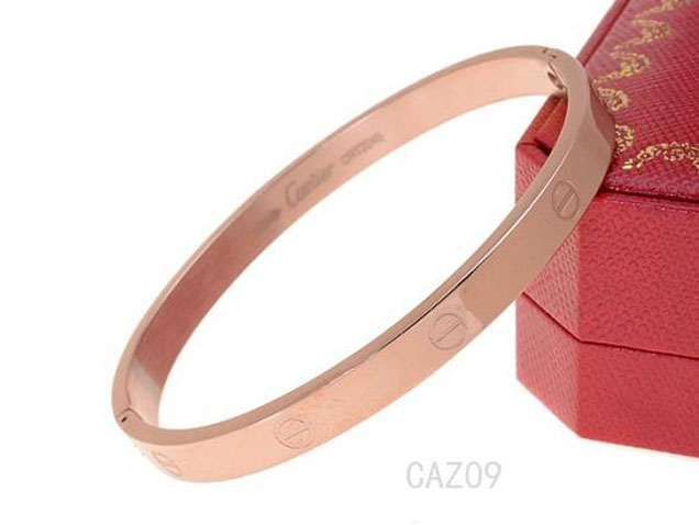 Cartier Bracelet 2017 - 54