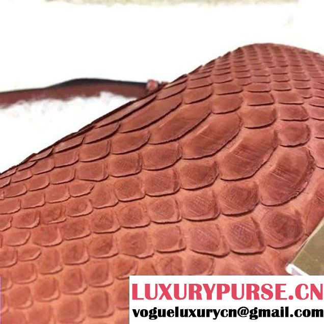 Celine Small Trotteur Shoulder Bag in Python Leather Cinnamon 2016  (1A021-6080225 )