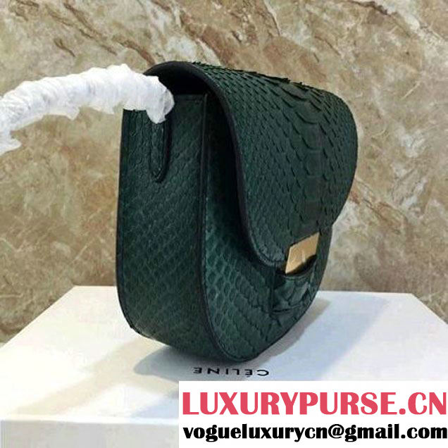 Celine Small Trotteur Shoulder Bag in Python Leather Green 2016  (1A021-6080226 )