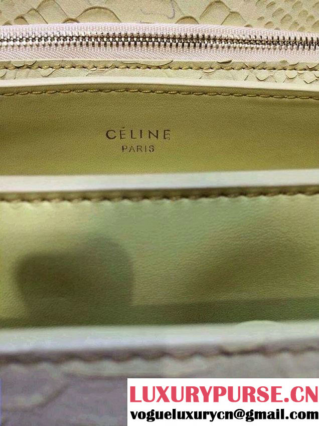 Celine Box Python Pattern Flap Bag Yellow