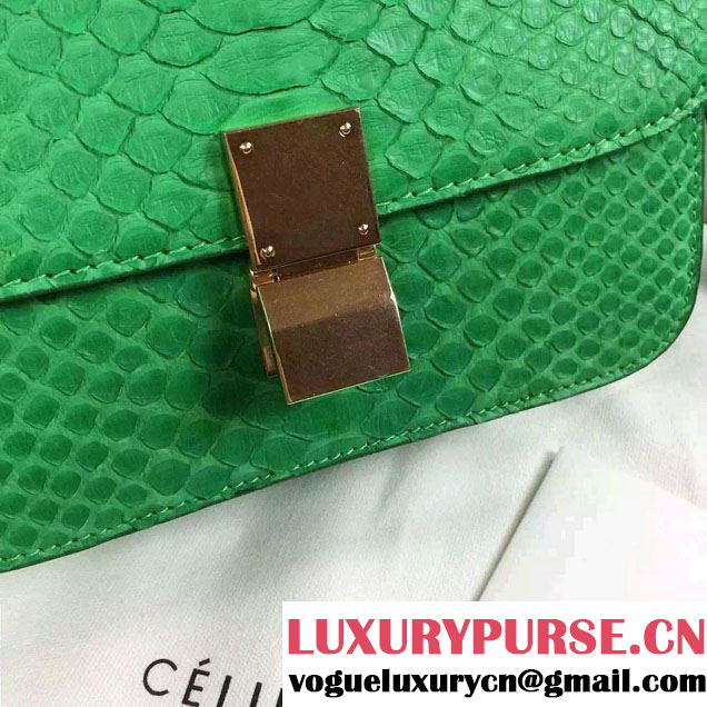 Celine Python Leather Classic Box Bag Green 2015