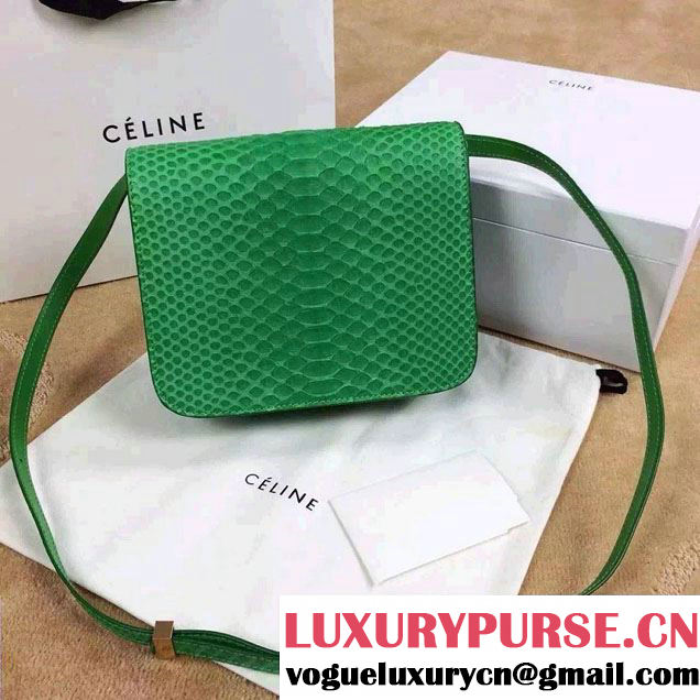 Celine Python Leather Classic Box Bag Green 2015