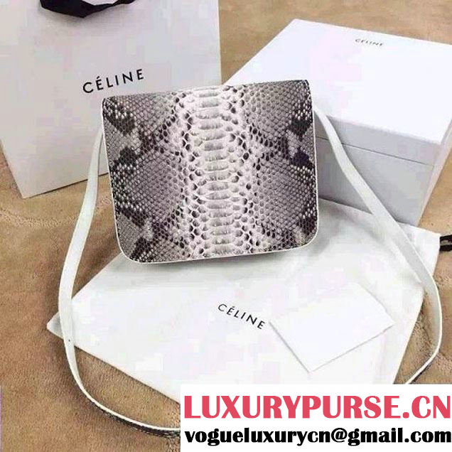 Celine Python Leather Classic Box Bag 2015