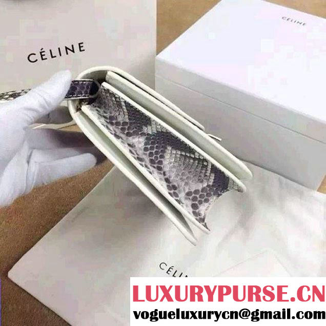 Celine Python Leather Classic Box Bag 2015