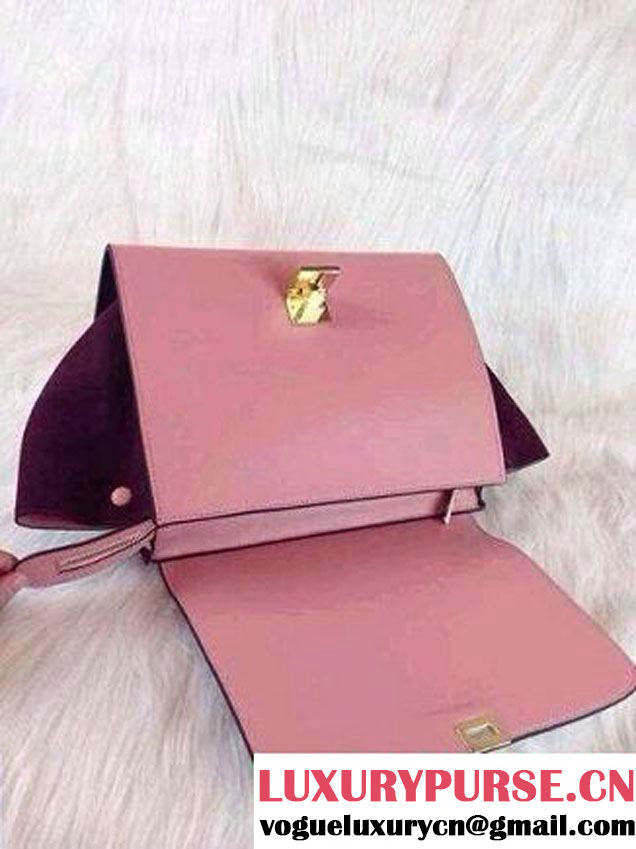 Celine Trapeze Tricolor Bag 2014