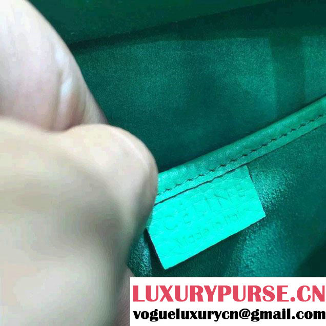 Celine Luggage Nano Tote Bag in Original Grained Leather Green 2016