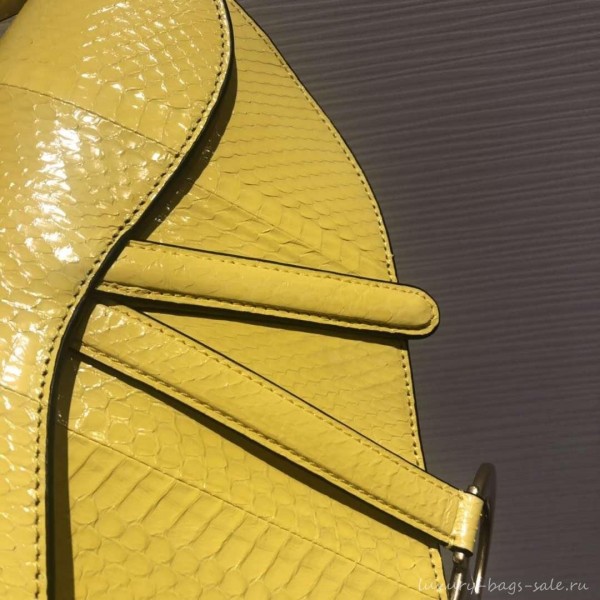Dior Python Saddle Bag Yellow 2019