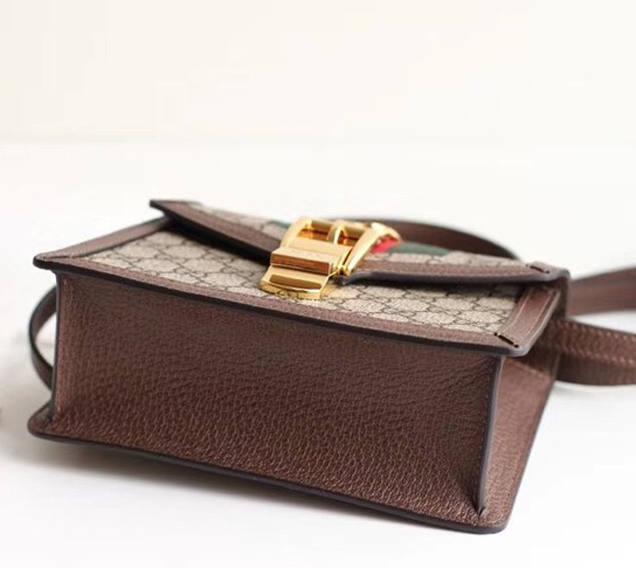 Gucci Sylvie GG Supreme canvas mini bag 470270 brown