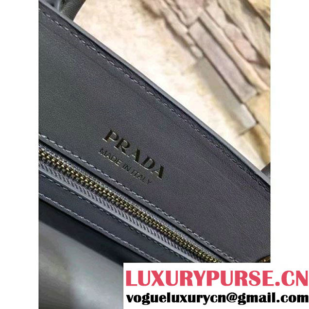 Prada Bibliotèque Calf Leather Bag 1BA050 mercury+chalk 2016 (EUR-6080221 )