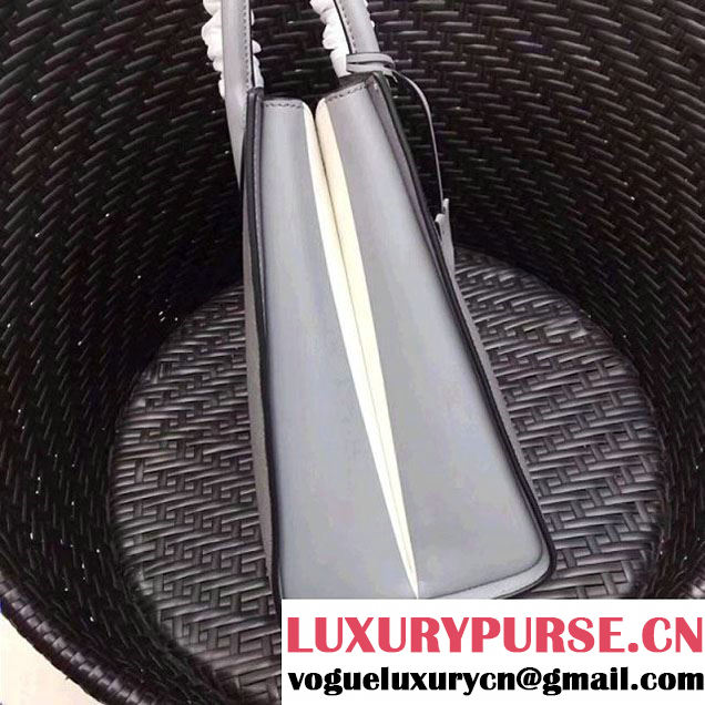 Prada Bibliothèque Saffiano Leather Bag 1BA153 Gray 2017 (GYF-7120845 )