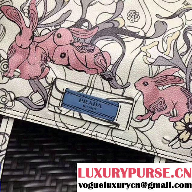 Prada Etiquette Printed Leather Bag 1BD082 2018 (GYF-8012705 )